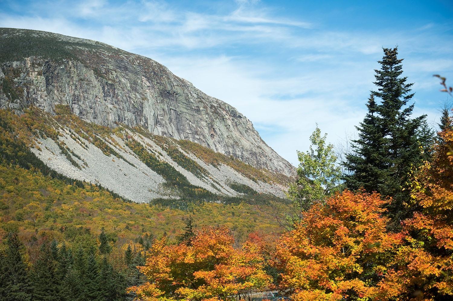 The Cannon Cliffs rise of out yellow fall foliage with golden orange trees in the foreground.