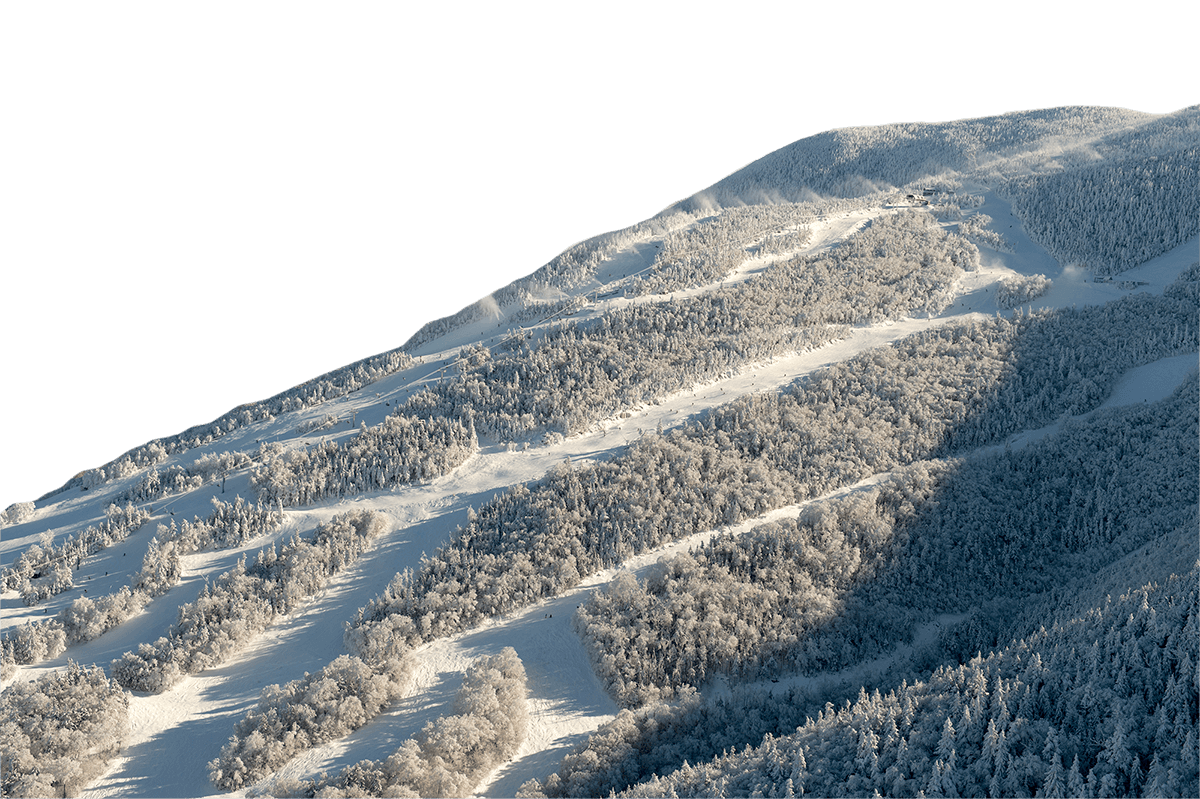 Cannon Mountain trails