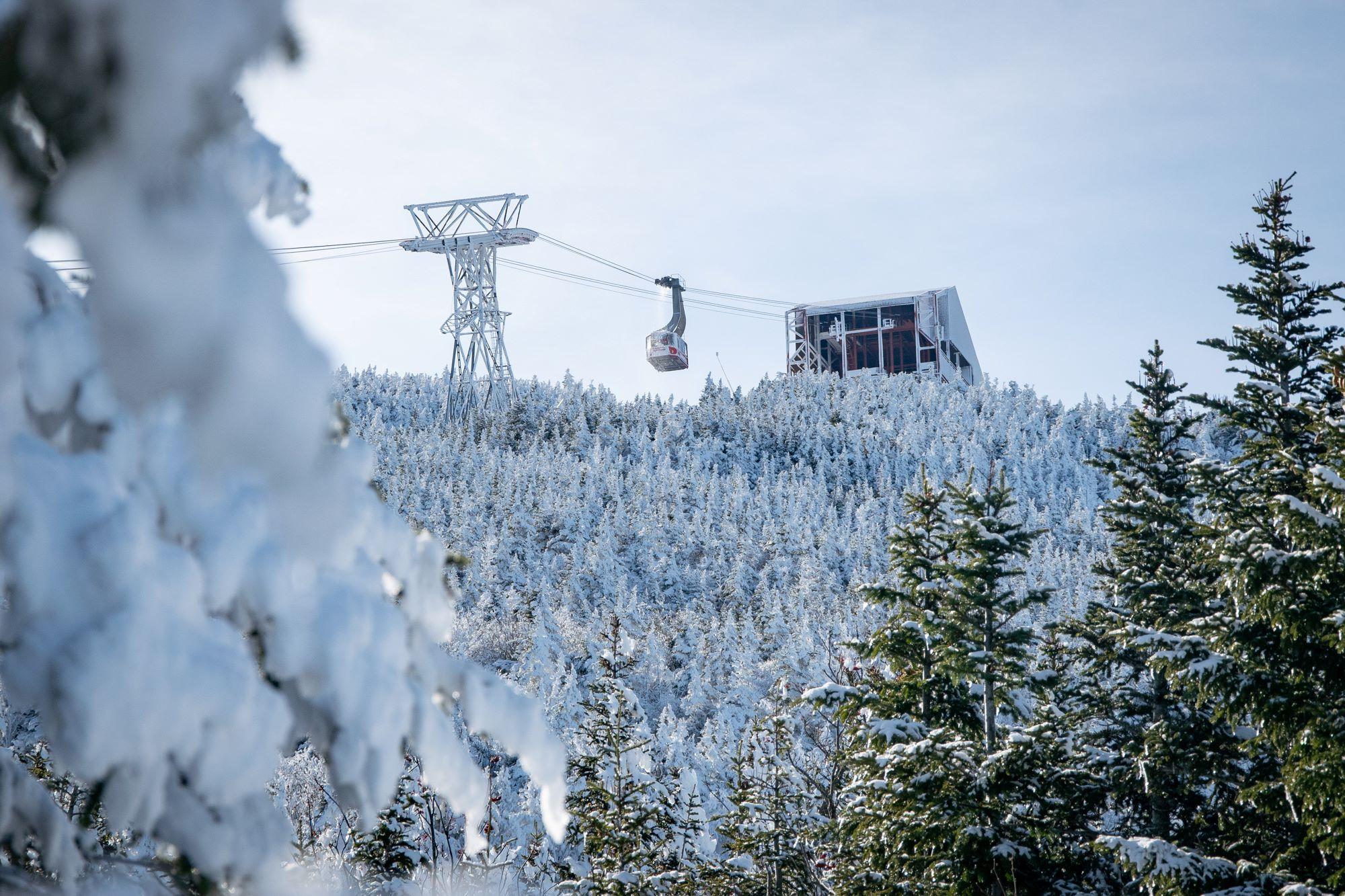Snow covered tram seen through snow covered trees.