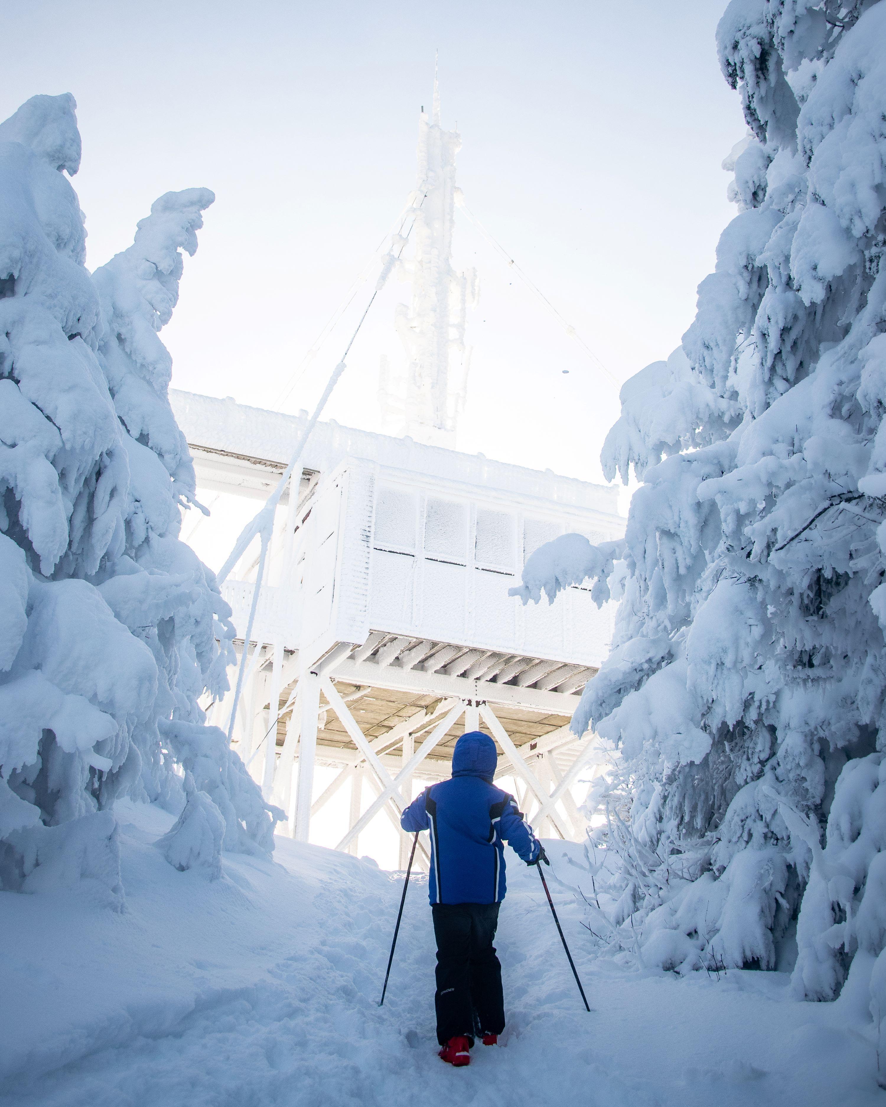 Skier walks trail to the viewing platform between narrow snow-covered trees.