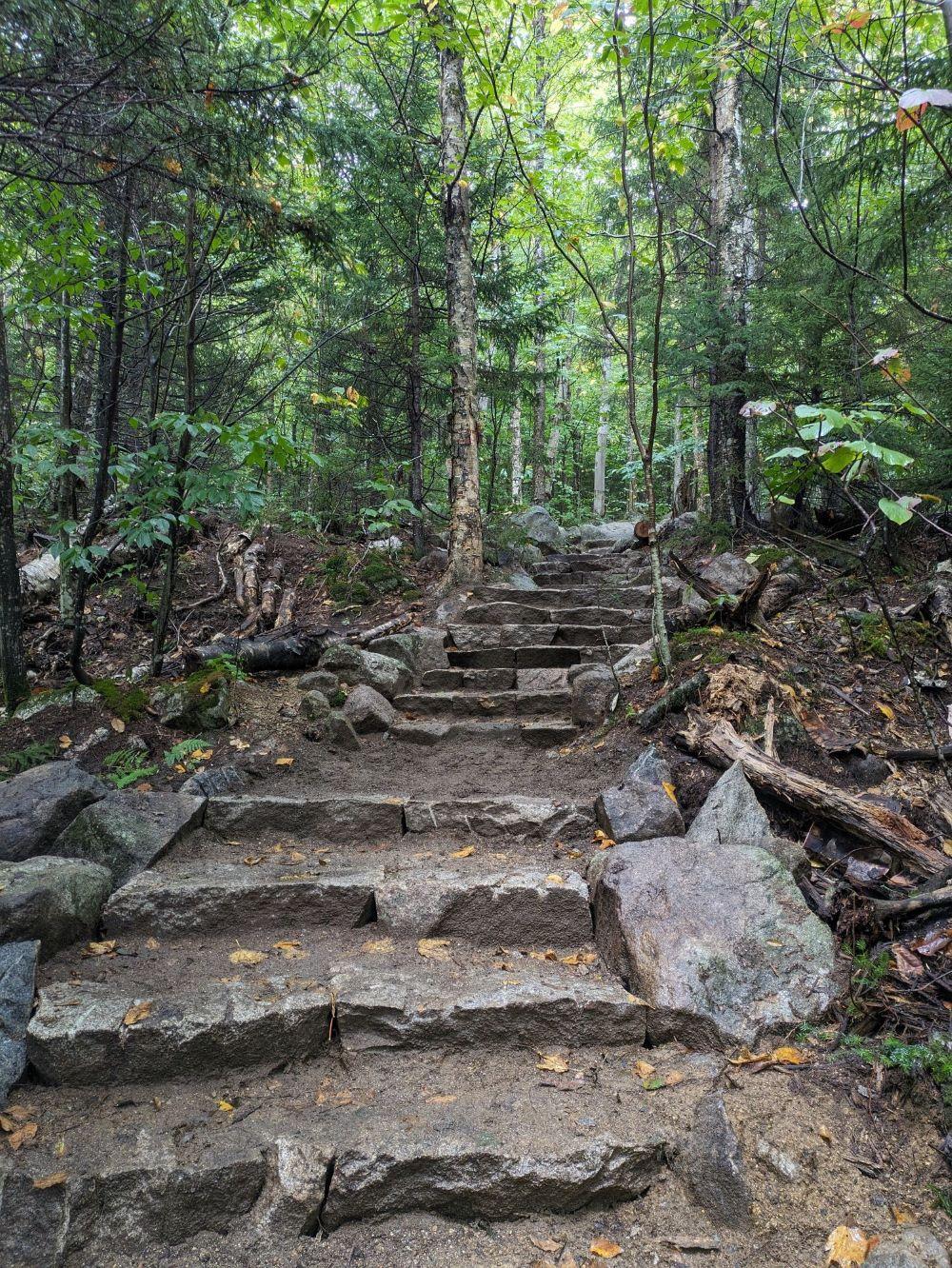 after picture on the ridge loop, steps