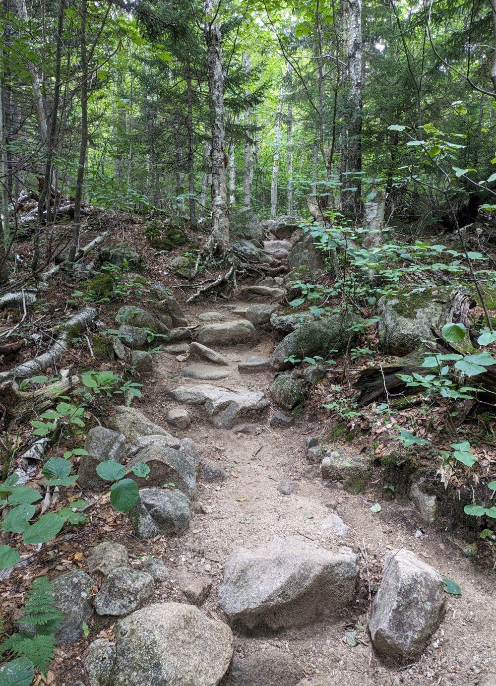 Before photo from the ridge loop